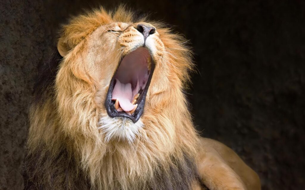 March comes in like a lion…