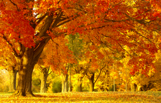 Sustainability: what does it mean to your people?