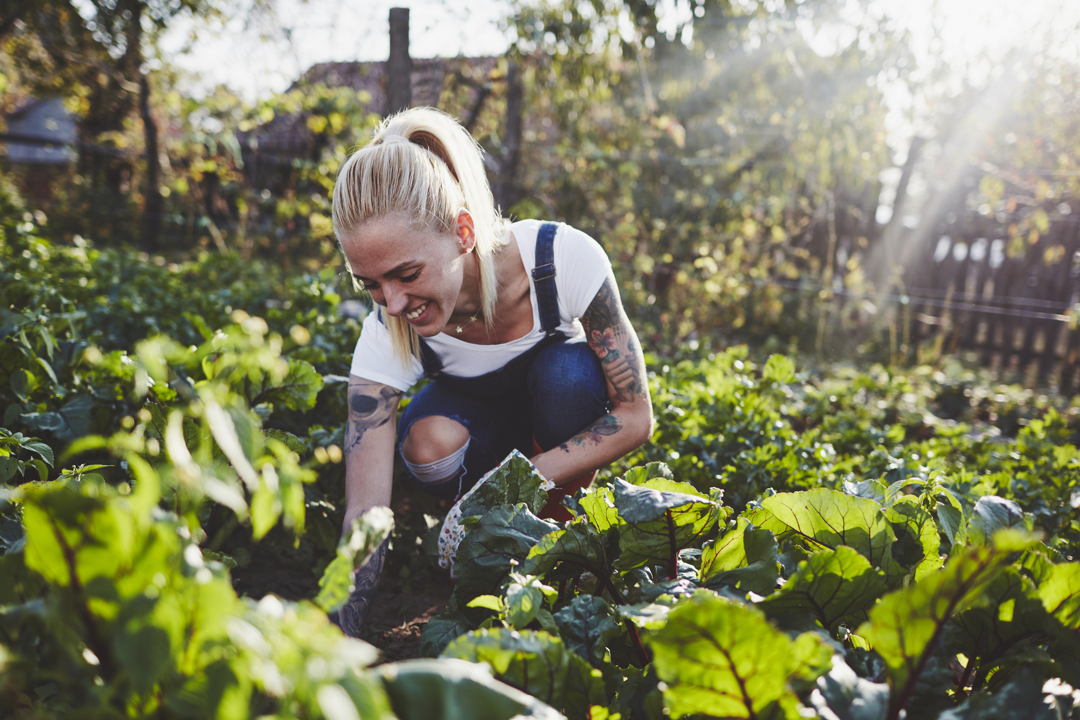 Grow a green thumb and tend to your corporate culture garden