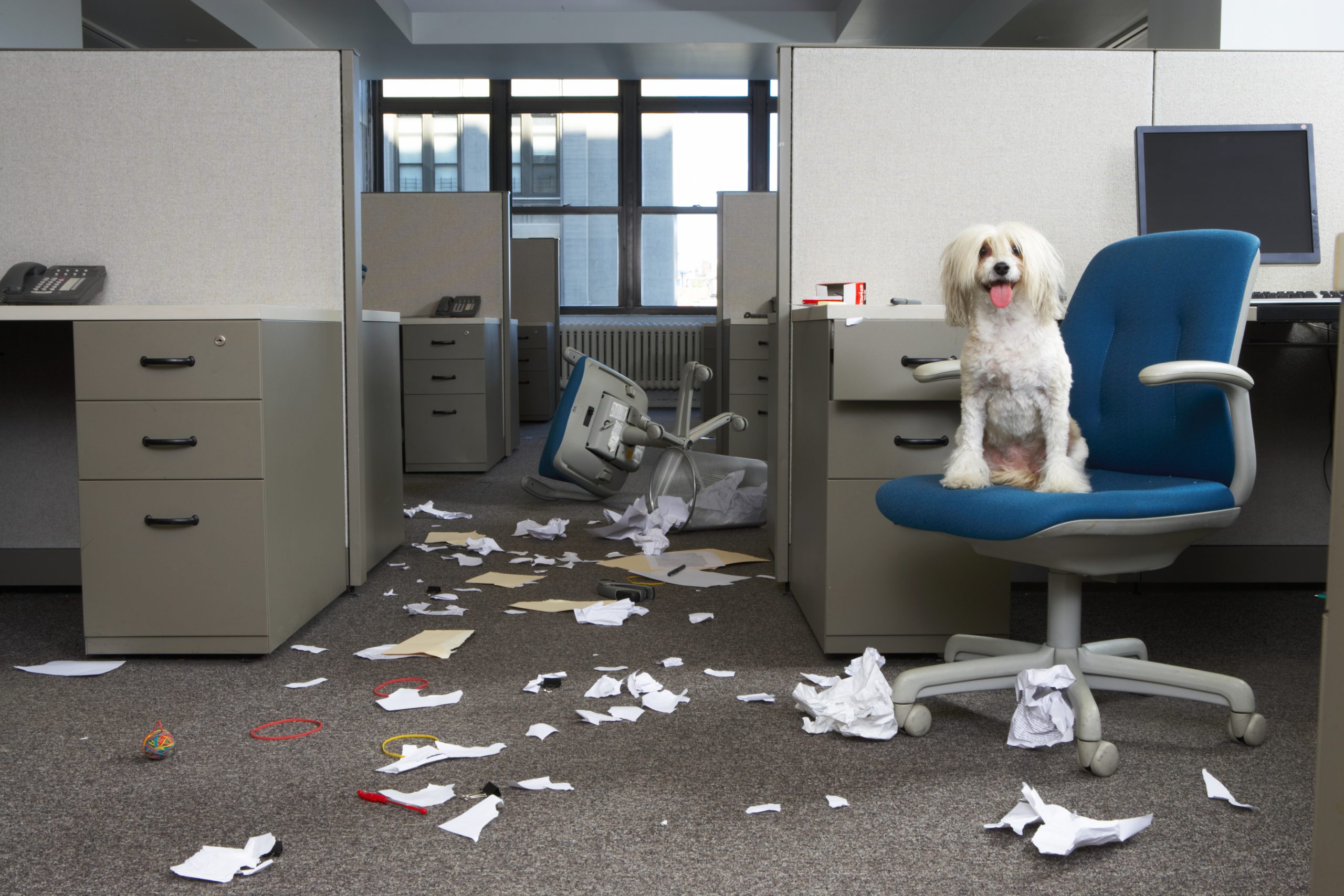 Crisis? What crisis? The disengagement myth