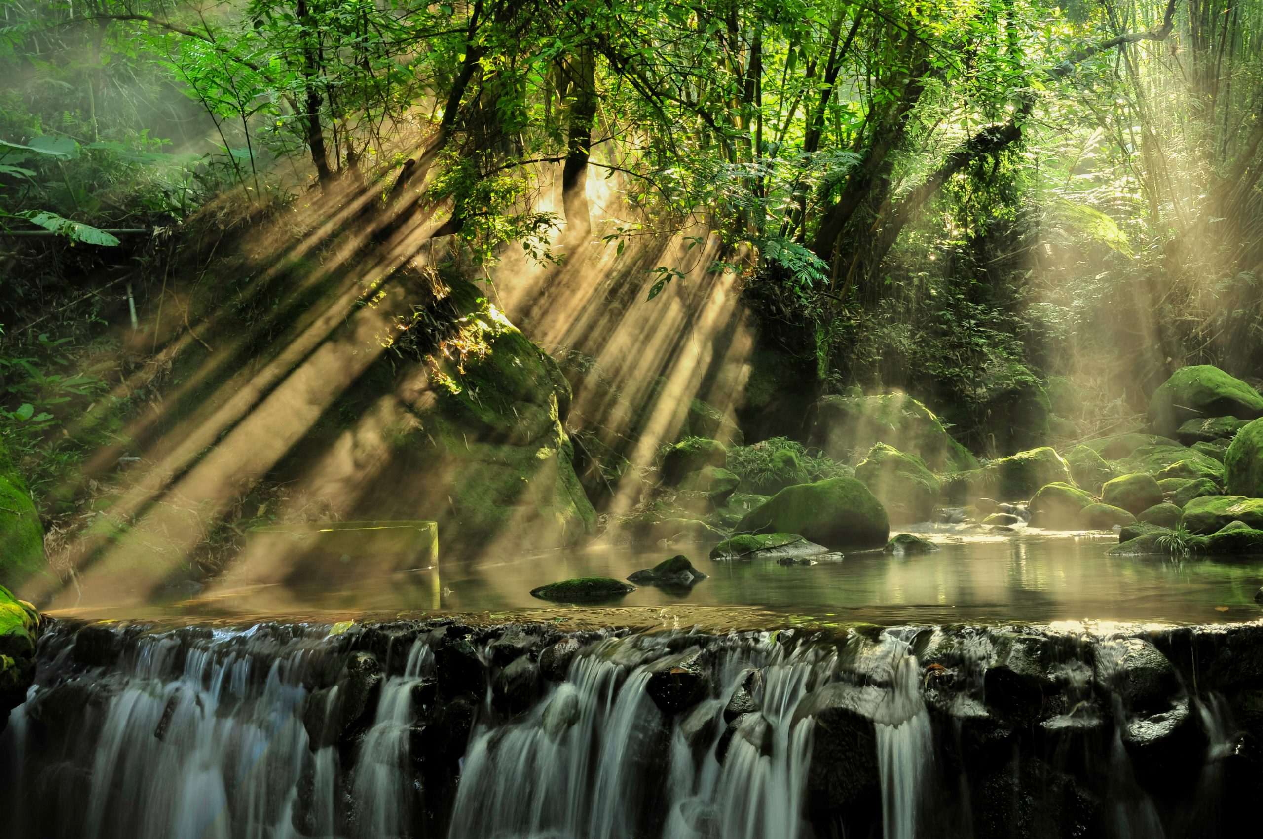 We are not doomed – Sustainability Success Stories